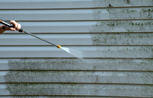 Best Roof Power Washing Services  in Campbellsville, KY