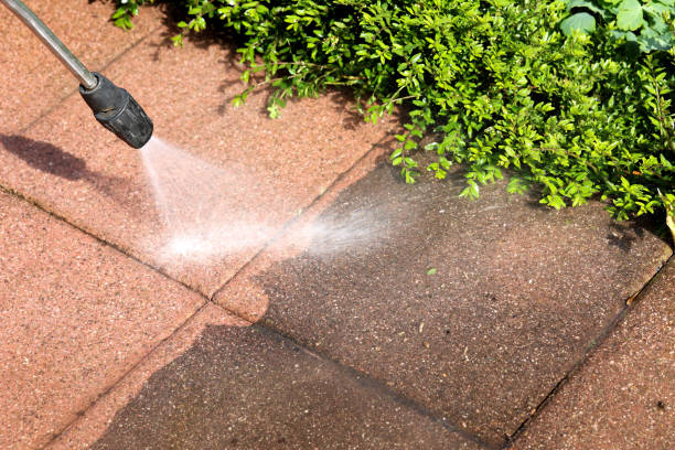 Best Exterior Home Cleaning  in Campbellsville, KY